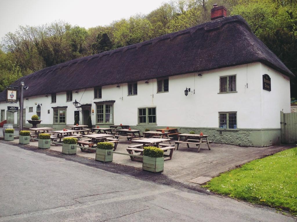 Hambro Arms Milton Abbas Exterior foto