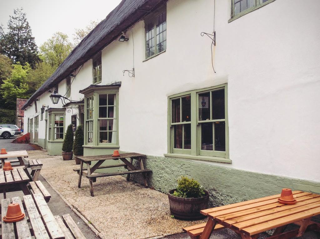 Hambro Arms Milton Abbas Exterior foto