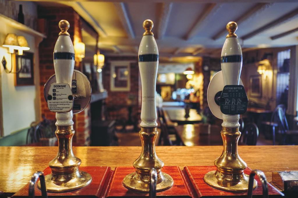 Hambro Arms Milton Abbas Exterior foto